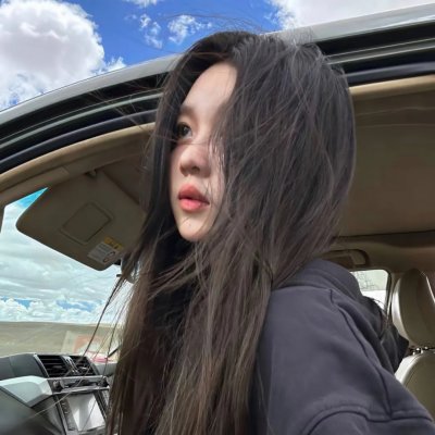 企鹅·布鲁姆