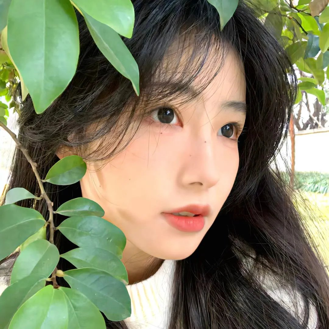 摄影机不要停！