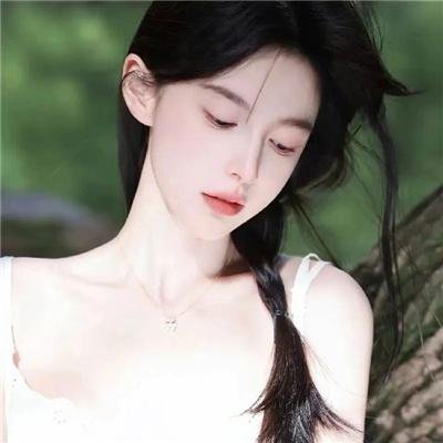 贵族大盗