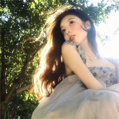 与鲨同游