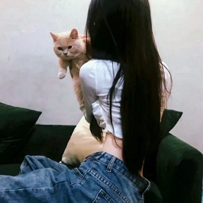 火鸟出击